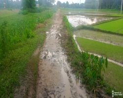 পাকা রাস্তার অভাবে হাজার বছর ধরে জনদুর্ভোগে এলাকাবাসী